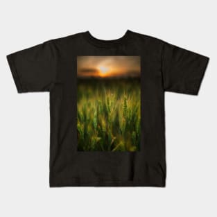 Wheat field at sunset, sun in the frame Kids T-Shirt